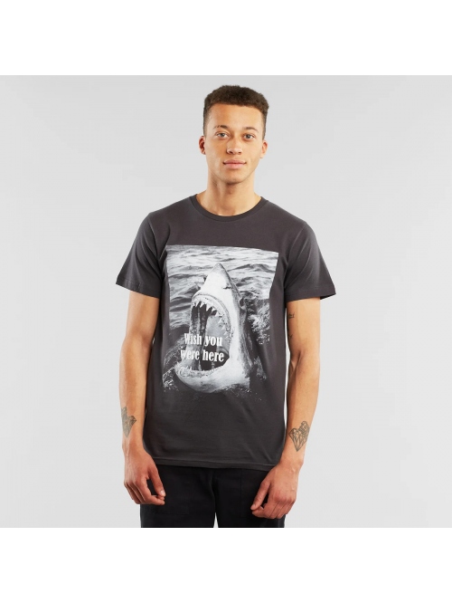 DEDICATED WI)SH YOU WERE HERE T SHIRT