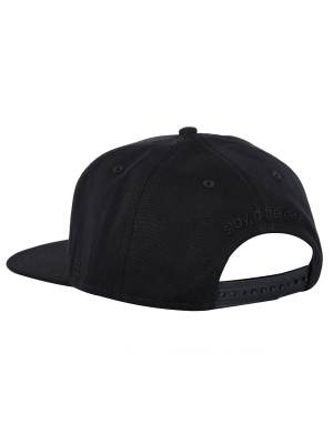 IRIEDAILY DAILY FLAG 20 SNAPBACK